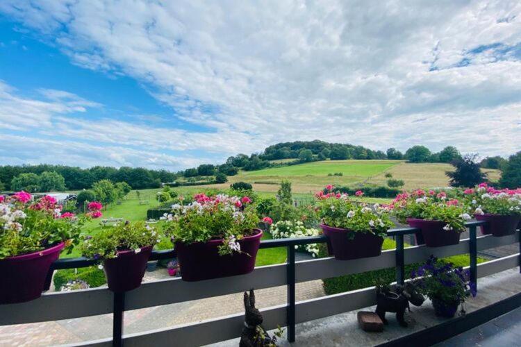 Panorama Sousberg Appartementen Schin op Geul Eksteriør bilde